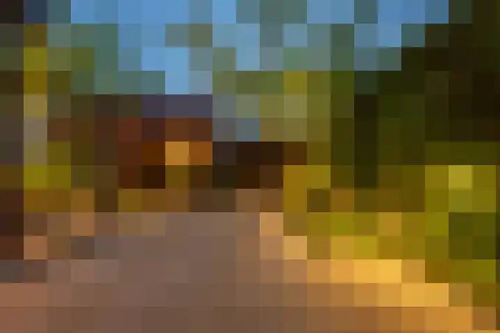 Smidsweg 28 's-Gravendeel thumbnail 69
