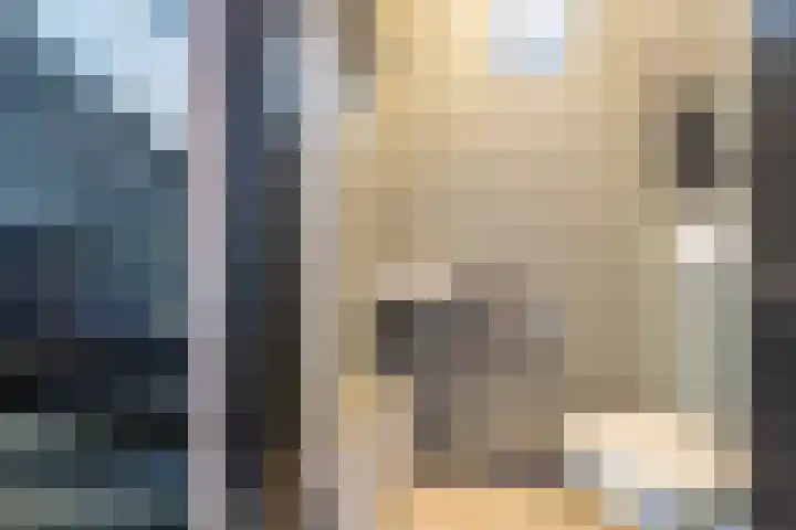 Smidsweg 28 's-Gravendeel thumbnail 7