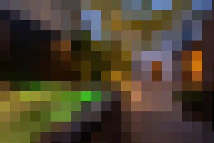 Smidsweg 28 's-Gravendeel thumbnail 71