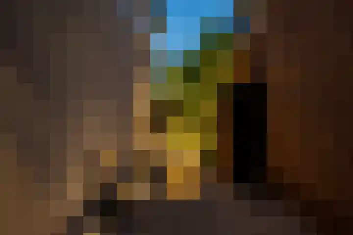 Smidsweg 28 's-Gravendeel thumbnail 72