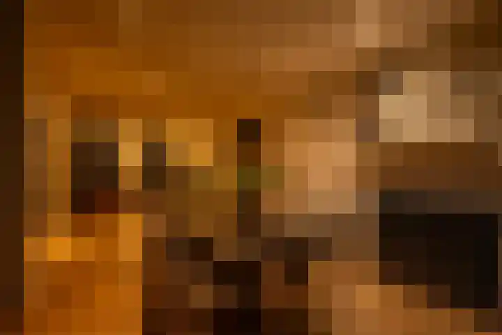 Smidsweg 28 's-Gravendeel thumbnail 73