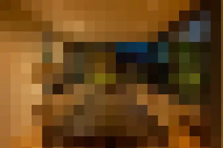 Smidsweg 28 's-Gravendeel thumbnail 74