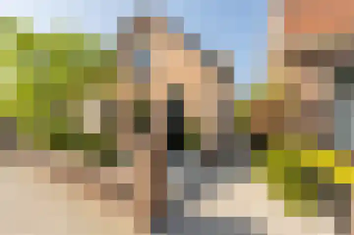Smidsweg 28 's-Gravendeel thumbnail 78