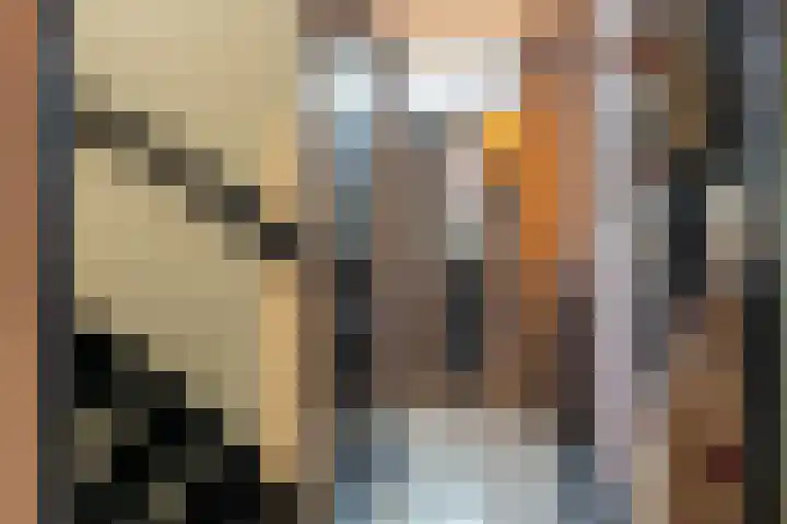 Smidsweg 28 's-Gravendeel thumbnail 8