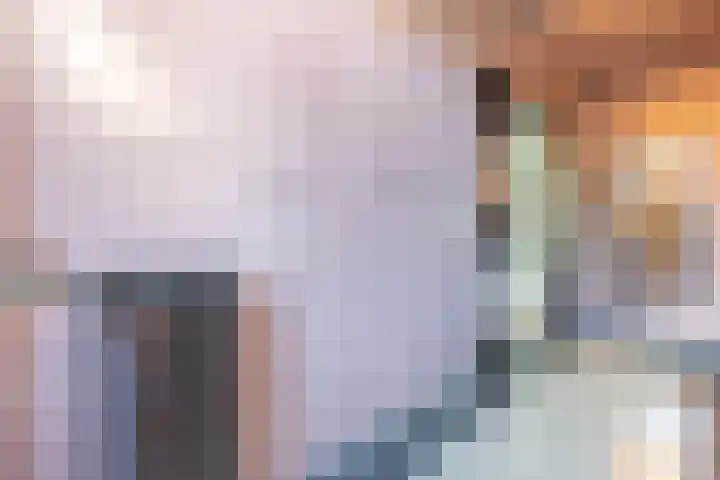 Smidsweg 28 's-Gravendeel thumbnail 9