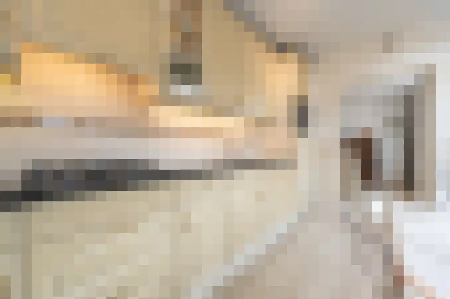Smidsweg 30 's-Gravendeel thumbnail 21