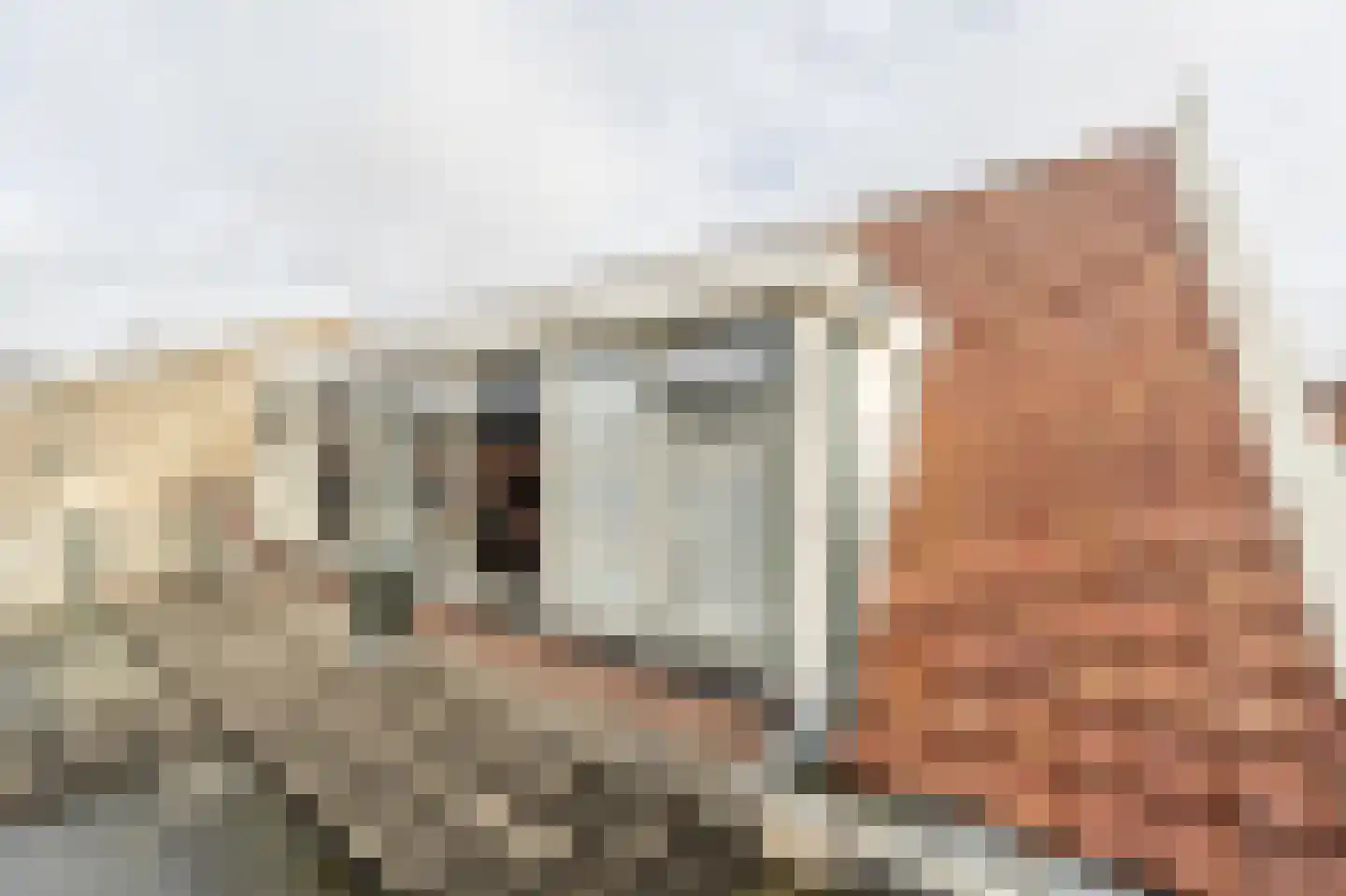 Smidsweg 30 's-Gravendeel thumbnail 38