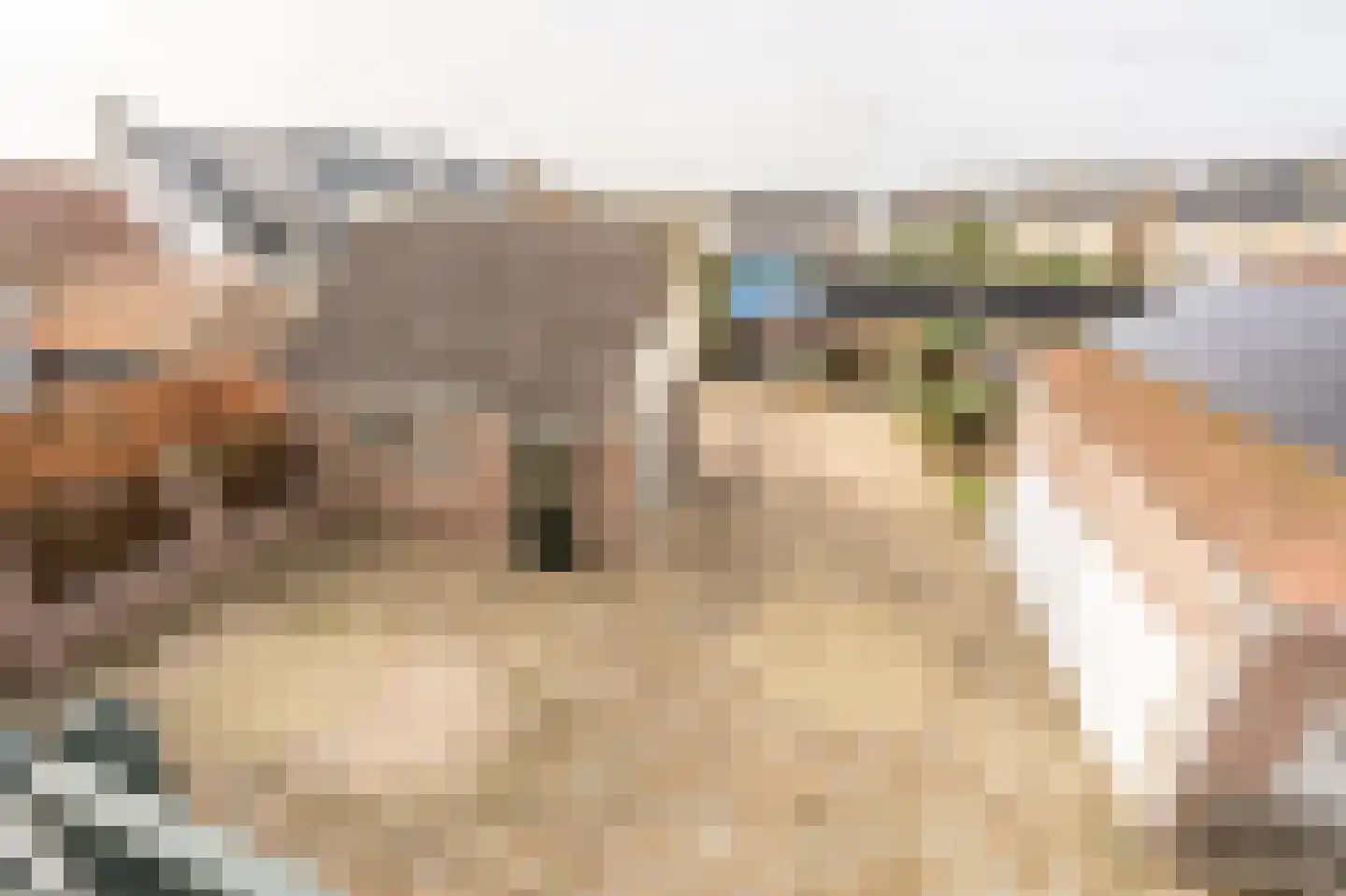 Smidsweg 30 's-Gravendeel thumbnail 39