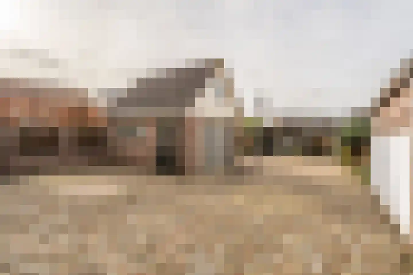 Smidsweg 30 's-Gravendeel thumbnail 4