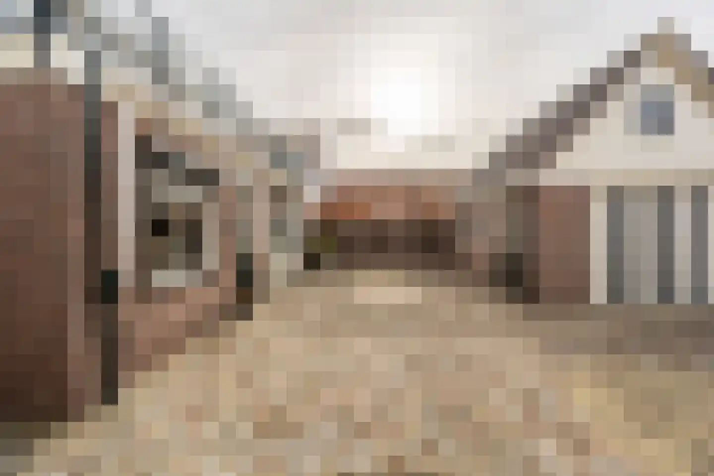 Smidsweg 30 's-Gravendeel thumbnail 41
