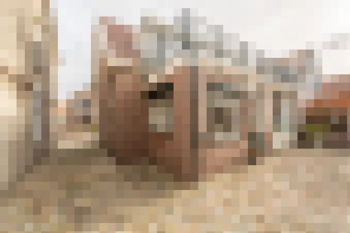 Smidsweg 30 's-Gravendeel thumbnail 43