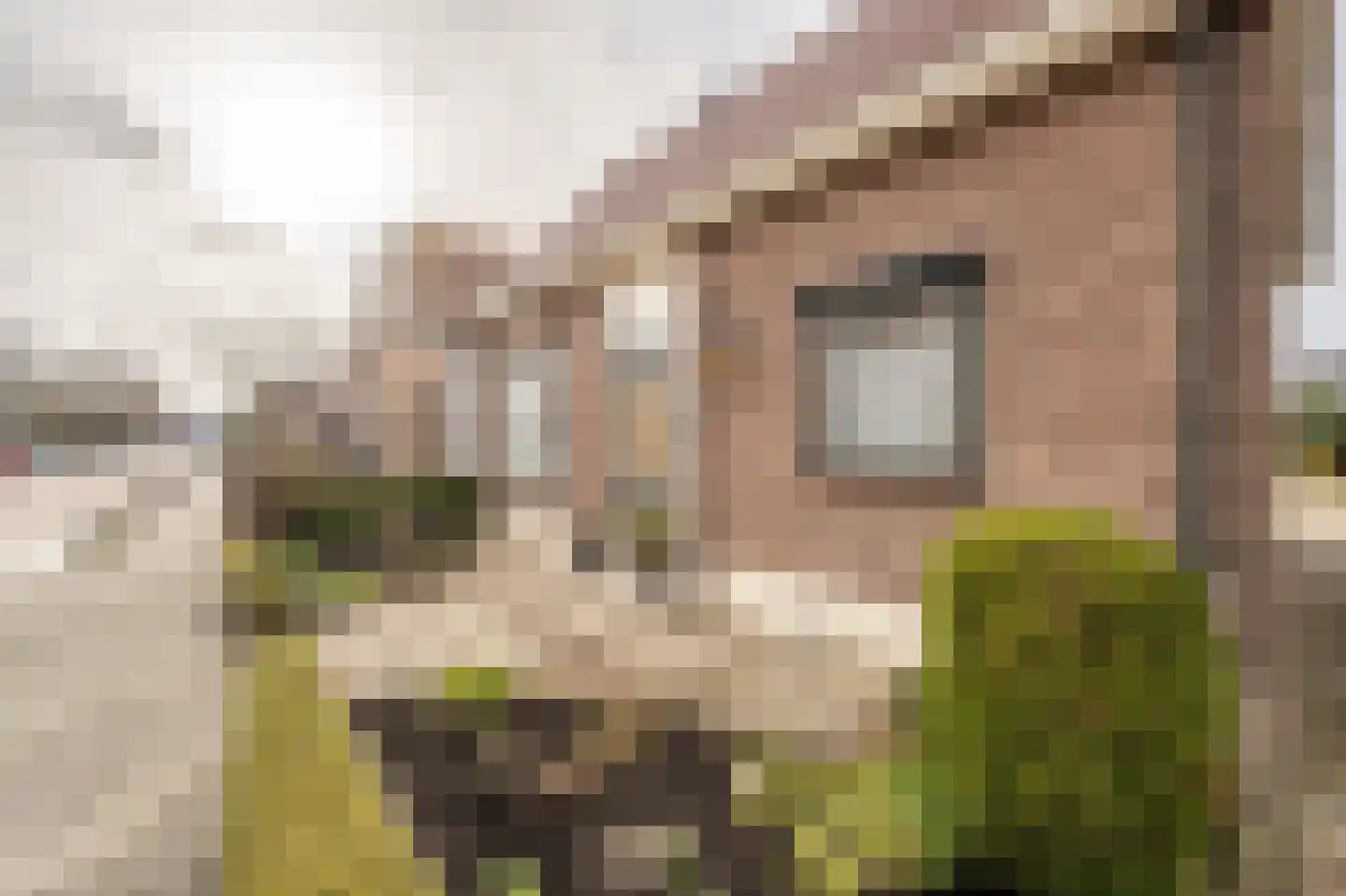 Smidsweg 30 's-Gravendeel thumbnail 48
