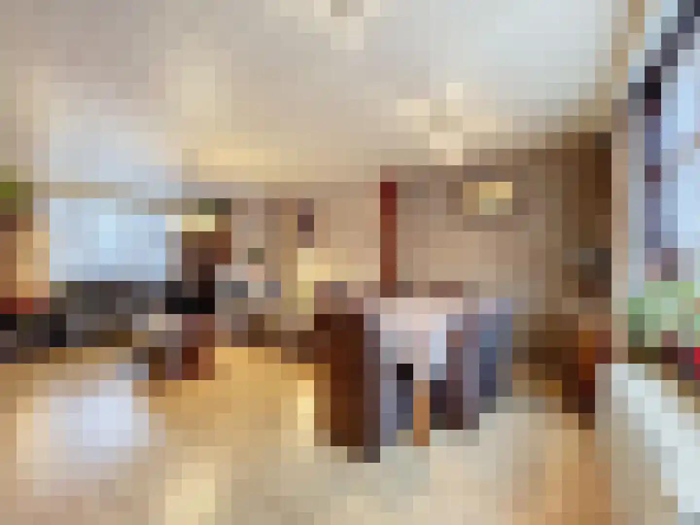 Smidsweg 5 Zuidzande thumbnail 12