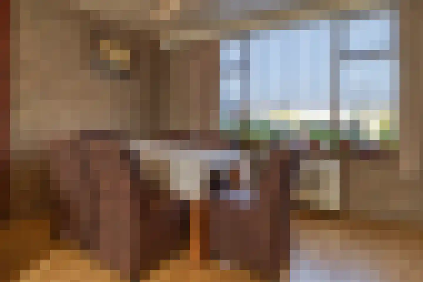 Smidsweg 5 Zuidzande thumbnail 14
