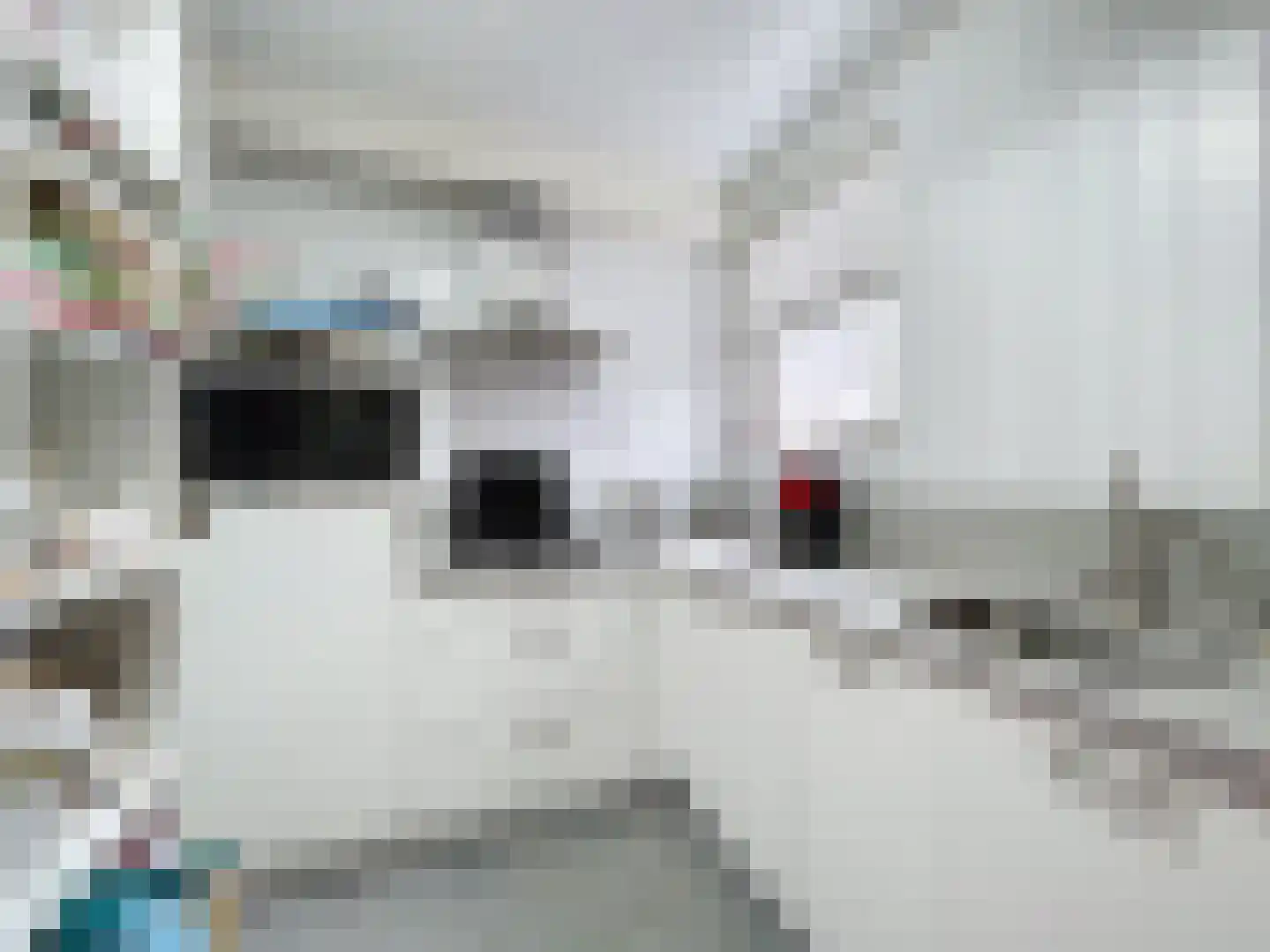 Smidsweg 5 Zuidzande thumbnail 15