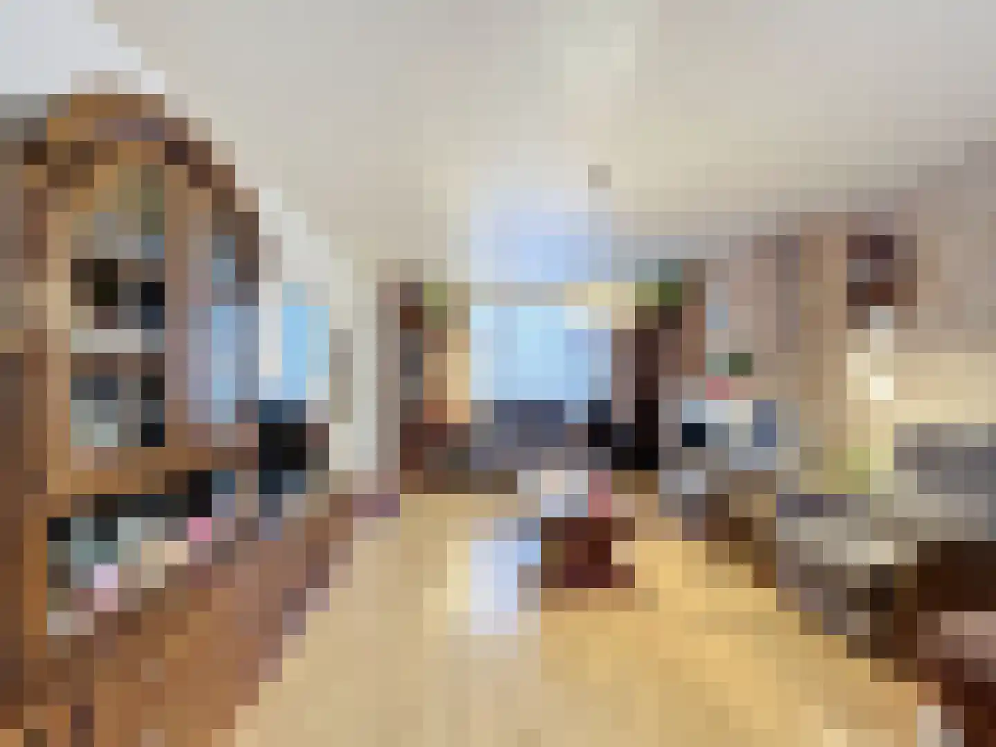 Smidsweg 5 Zuidzande thumbnail 15