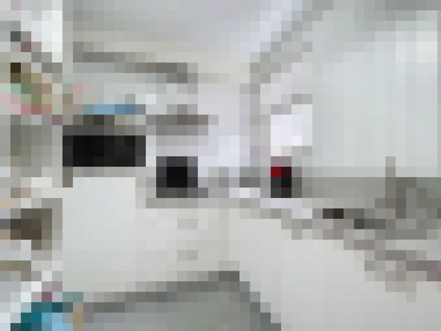 Smidsweg 5 Zuidzande thumbnail 16