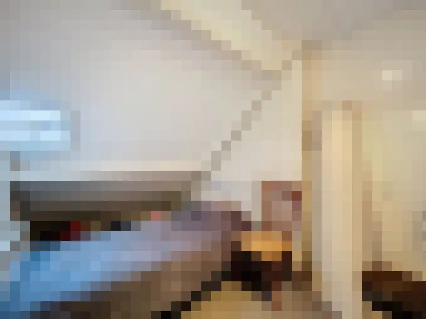 Smidsweg 5 Zuidzande thumbnail 19