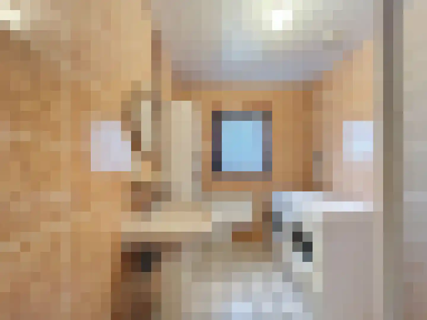 Smidsweg 5 Zuidzande thumbnail 24