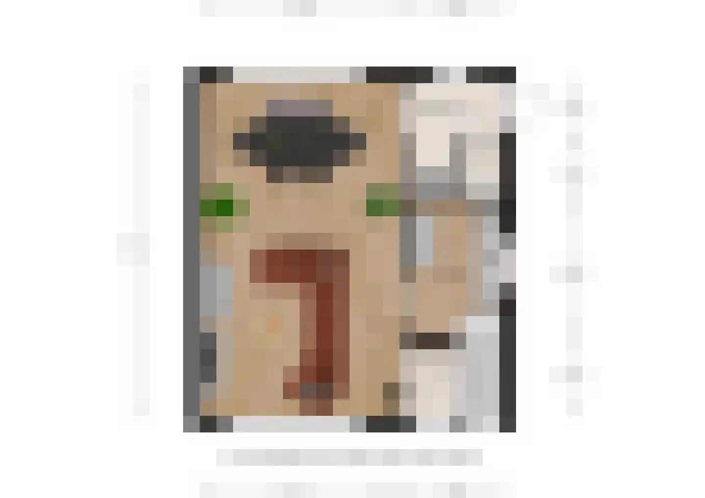 Smidsweg 5 Zuidzande thumbnail 29