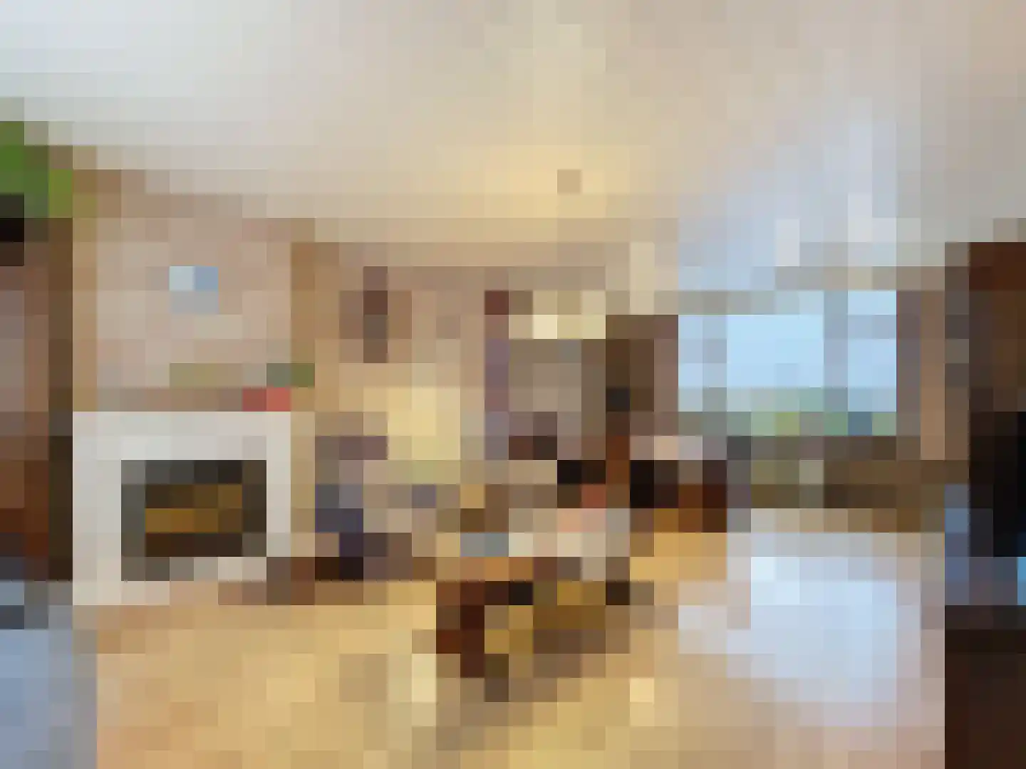 Smidsweg 5 Zuidzande thumbnail 9