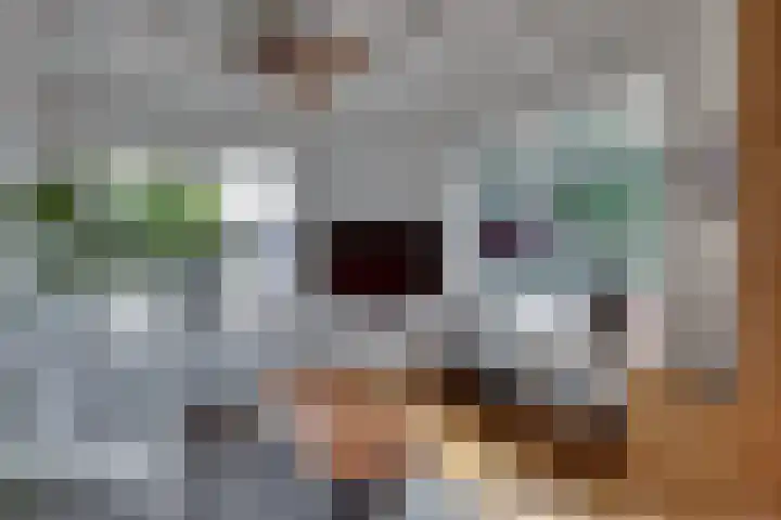 Smidsweg 91 Nijverdal thumbnail 20