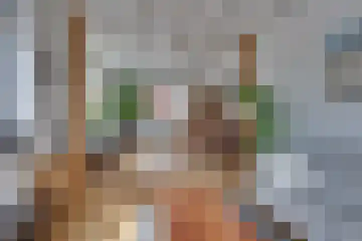 Smidsweg 91 Nijverdal thumbnail 21