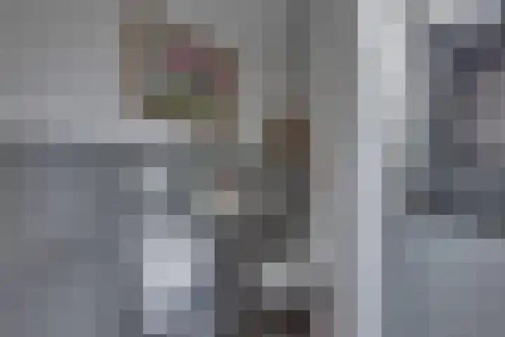 Smidsweg 91 Nijverdal thumbnail 27