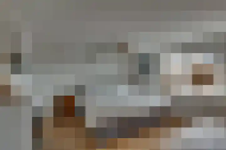 Smidsweg 91 Nijverdal thumbnail 29