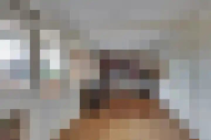 Smidsweg 91 Nijverdal thumbnail 32