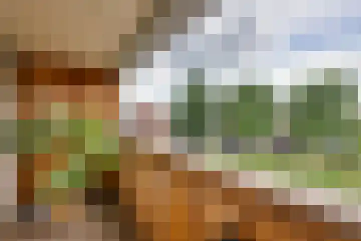 Smidsweg 91 Nijverdal thumbnail 33