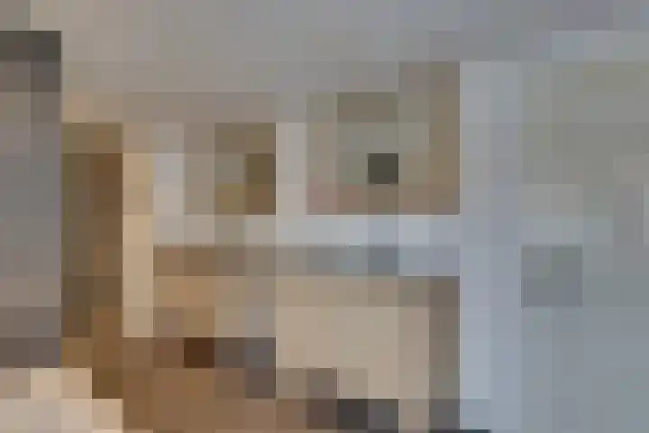 Smidsweg 91 Nijverdal thumbnail 36