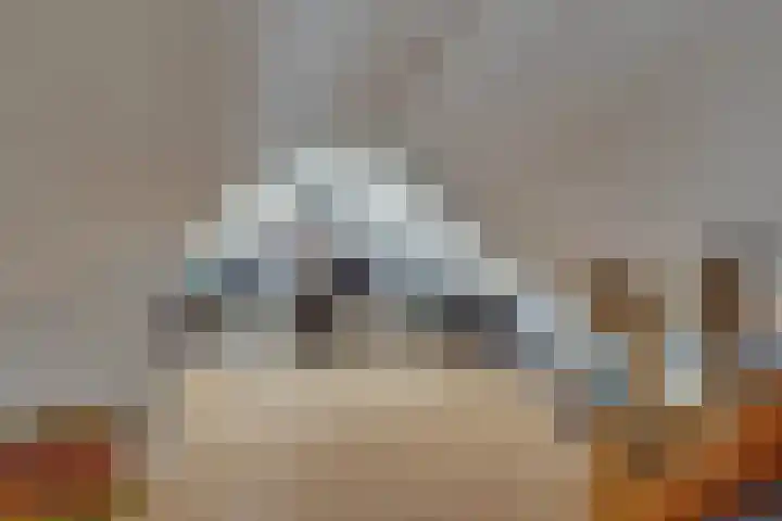 Smidsweg 91 Nijverdal thumbnail 38