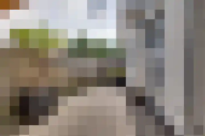 Smidsweg 91 Nijverdal thumbnail 43