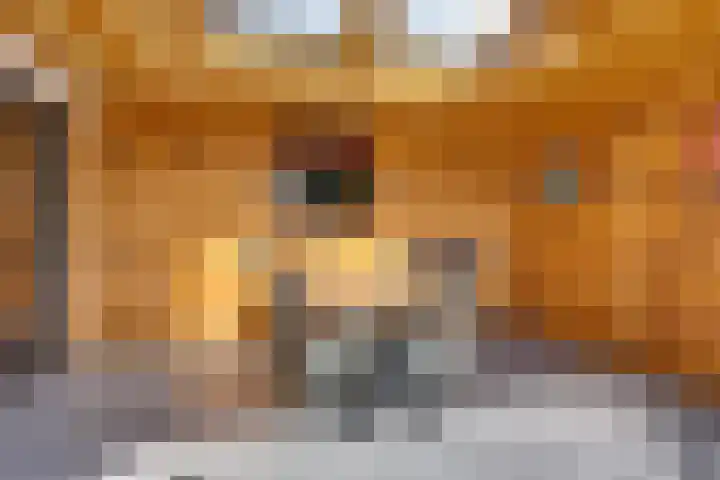Smidsweg 91 Nijverdal thumbnail 45