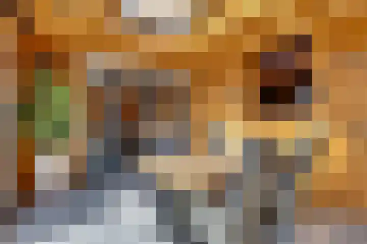 Smidsweg 91 Nijverdal thumbnail 46