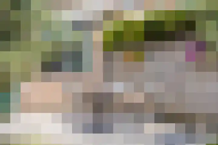 Smidswegje 2 A Serooskerke thumbnail 23