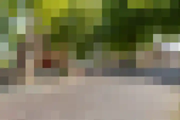 Smidswegje 2 A Serooskerke thumbnail 26