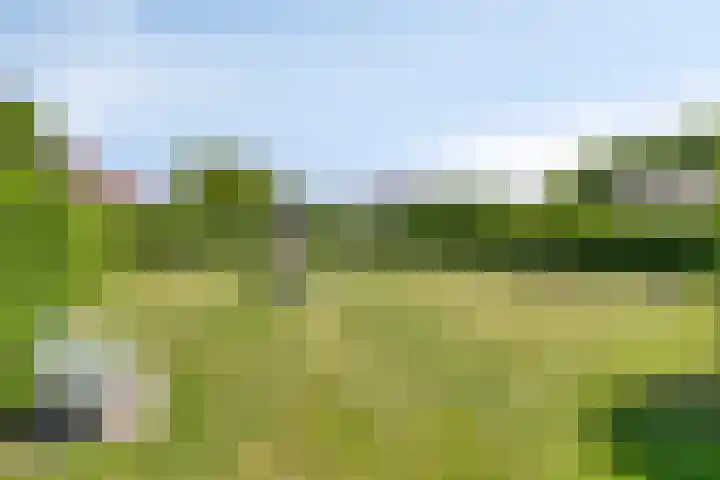 Smidswegje 2 A Serooskerke thumbnail 27
