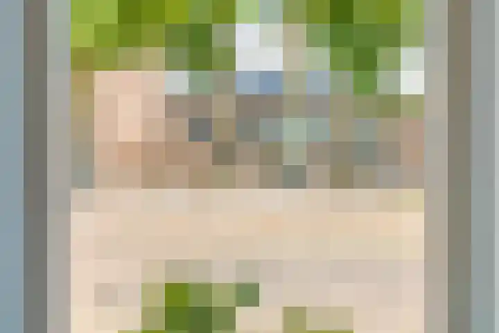Smidswegje 2 A Serooskerke thumbnail 4