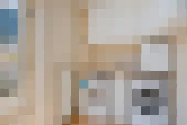 Smidswegje 2 A Serooskerke thumbnail 9