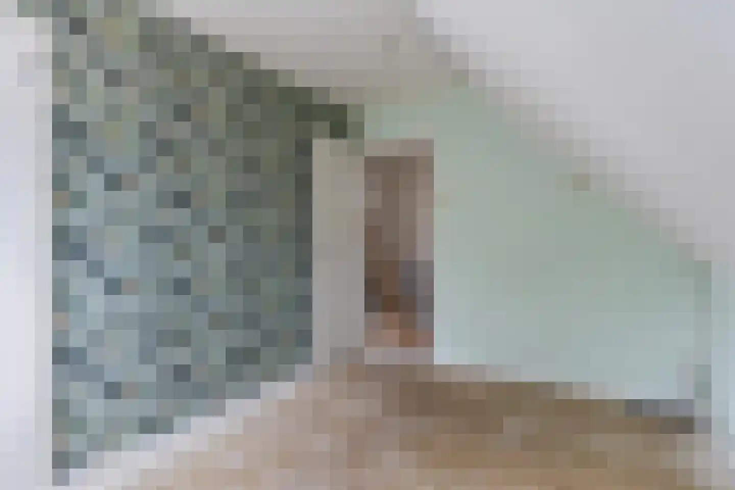 Smidswei 26 Drachtstercompagnie thumbnail 10