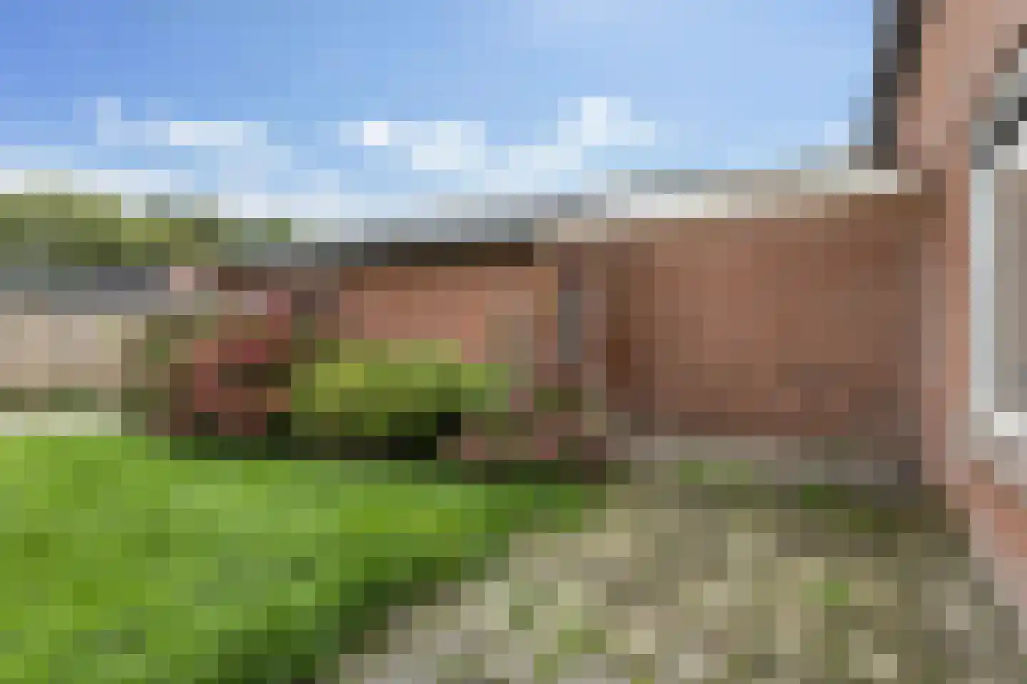 Smidswei 26 Drachtstercompagnie thumbnail 19