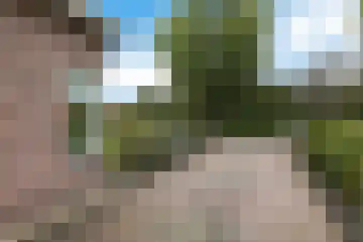 Smidswei 68 Drachtstercompagnie thumbnail 10