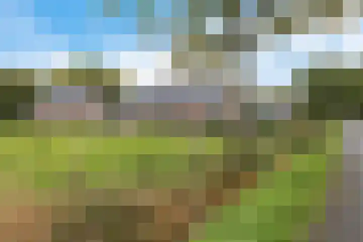 Smidswei 68 Drachtstercompagnie thumbnail 12