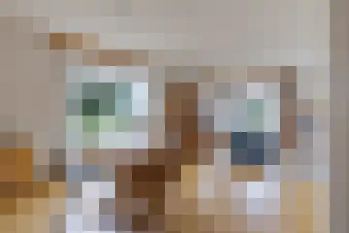 Smidswei 68 Drachtstercompagnie thumbnail 19