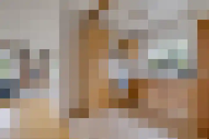 Smidswei 68 Drachtstercompagnie thumbnail 21