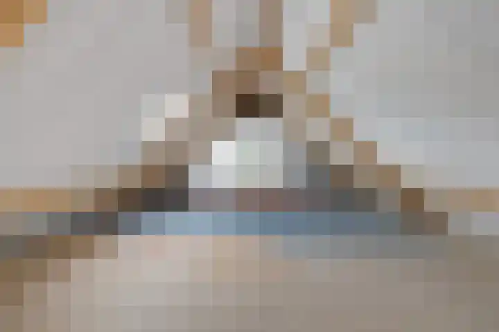 Smidswei 68 Drachtstercompagnie thumbnail 32