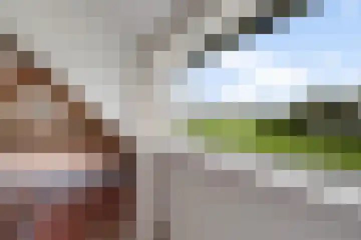Smidswei 68 Drachtstercompagnie thumbnail 36