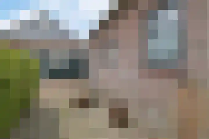 Smidswei 68 Drachtstercompagnie thumbnail 38